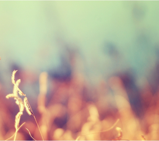 Sản phẩm rất tốt